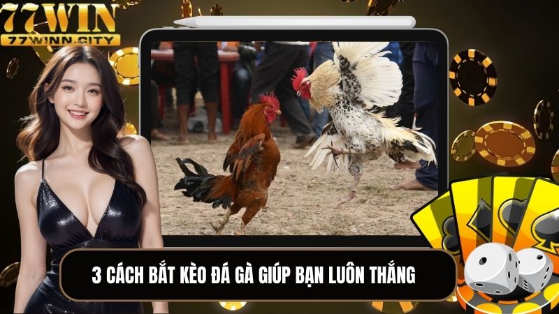 3 cách bắt kèo đá gà giúp bạn luôn thắng