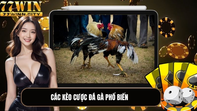 Các kèo cược đá gà phổ biến