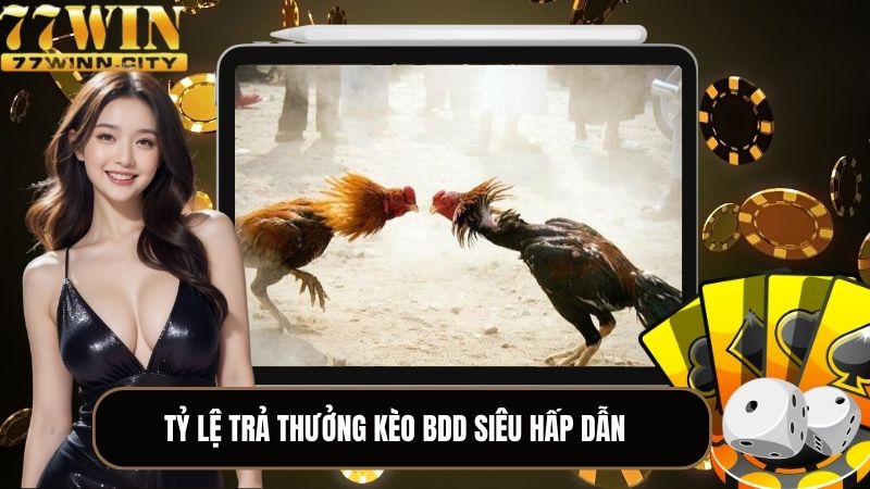 Tỷ lệ trả thưởng kèo BDD siêu hấp dẫn