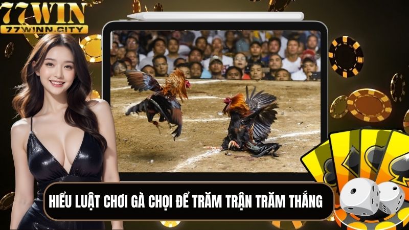 Hiểu luật chơi gà chọi để trăm trận trăm thắng