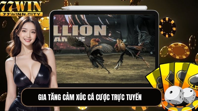 Đá gà tại 77WIN - Gia tăng cảm xúc cá cược trực tuyến